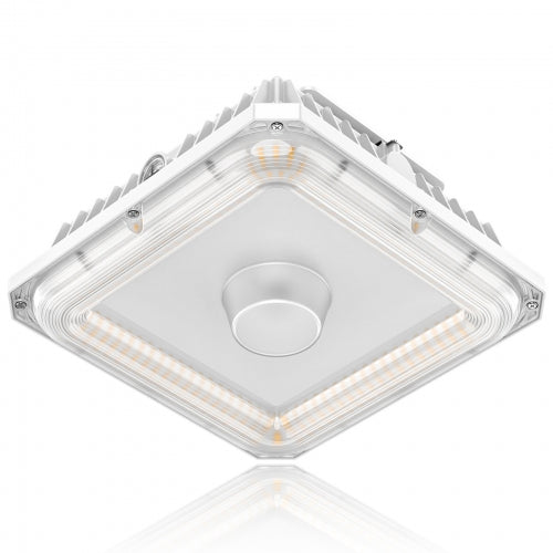 LED Canopy Light