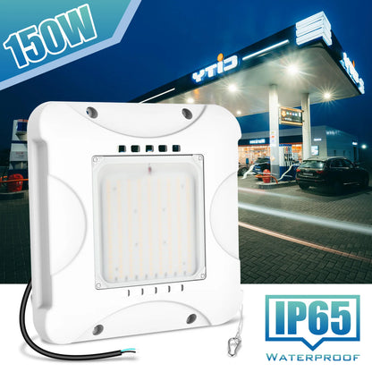 Adjustable Wattage and Color Switches on Lush Pro Max Series