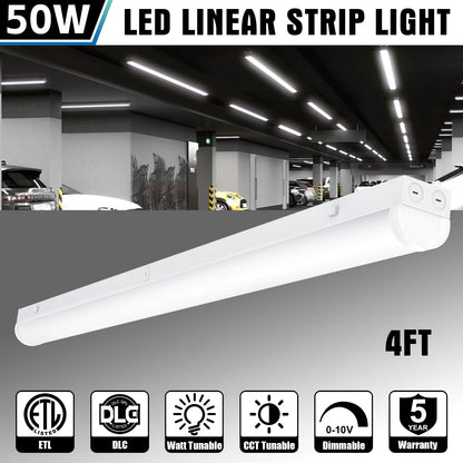 Lush Global Signature: STL-Series Multi-Phase LED Strip Light - 4ft| Pack of 8