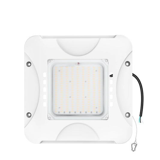Lush Canopy-Pro Max 150W High-Output LED Canopy Light