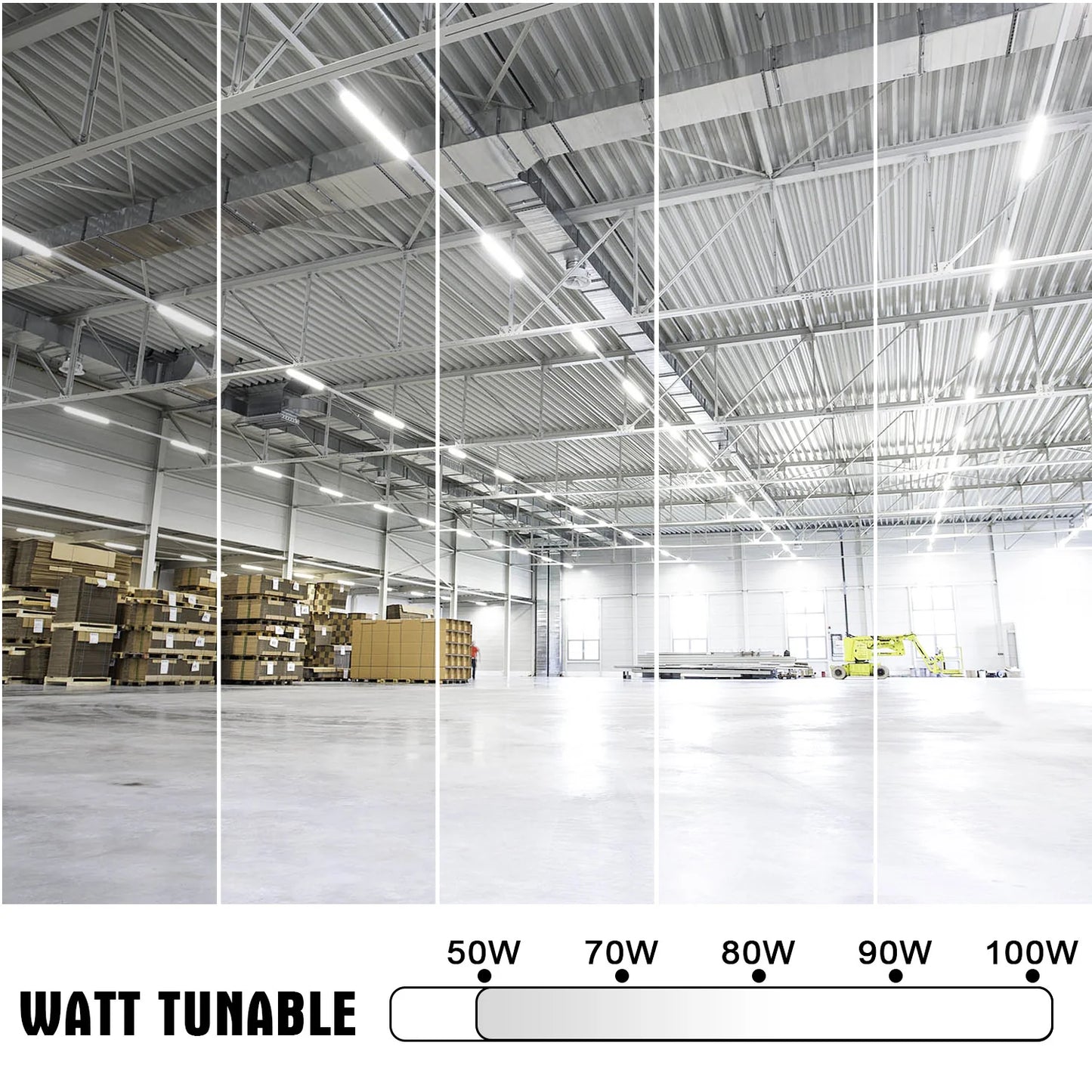 Lush Global Signature: STL-Series 8FT High-Output LED with Modular Sensor Base- Pack of 4