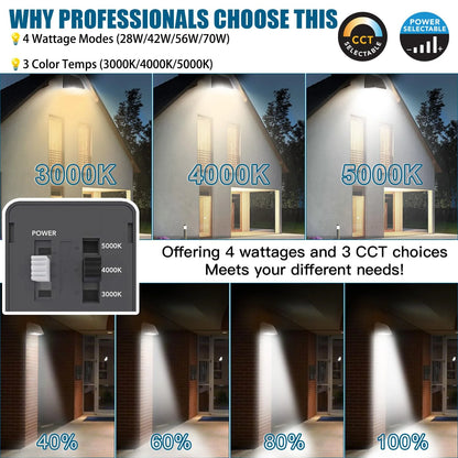 Lush Pro-Wall Prime | Tunable 28W-70W LED Wall Pack | 3-Color Selectable