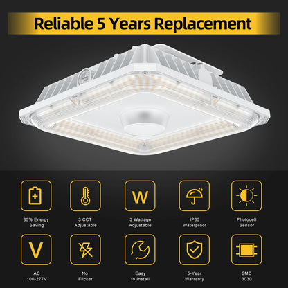 LED canopy light 
