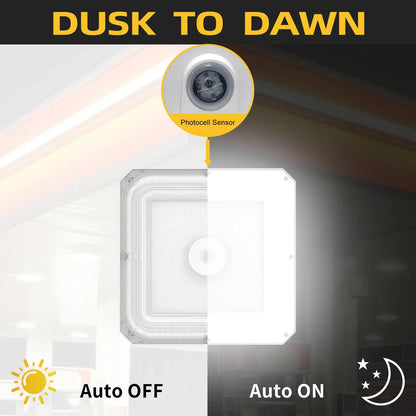 sensor