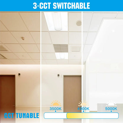 Volumetric Recessed Office Lighting by Lush Global Contracting