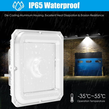 LED canopy light Waterproof