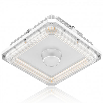 Lush Canopy-Pro LED Canopy Light with Dusk-to-Dawn Photocell