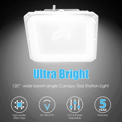 Adjustable Wattage and CCT Switches on Lush Smart-Sensor Series